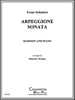 Arpeggione Sonata-Bassoon